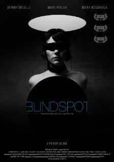 Blindspot (2008)