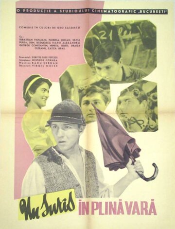 Улыбка в разгаре лета (1963)
