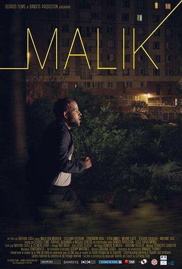 Malik (2018)